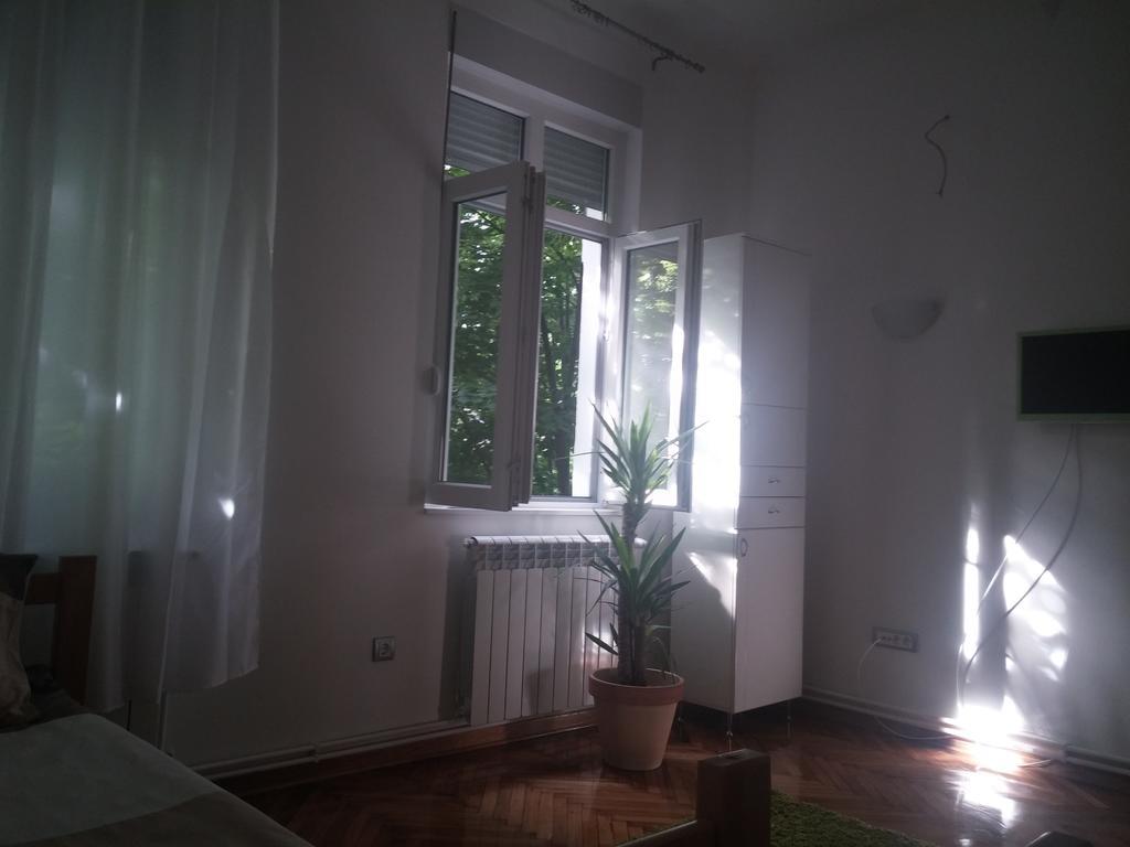 Cricket 2 Hostel Belgrad Rum bild